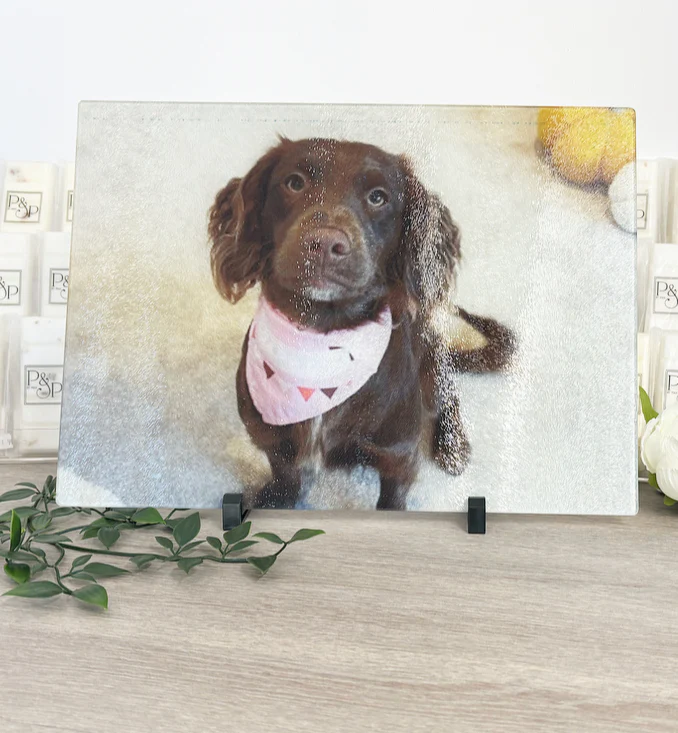 A3 TEXTURED Rectangle Photo Chopping Board Only - Image 4