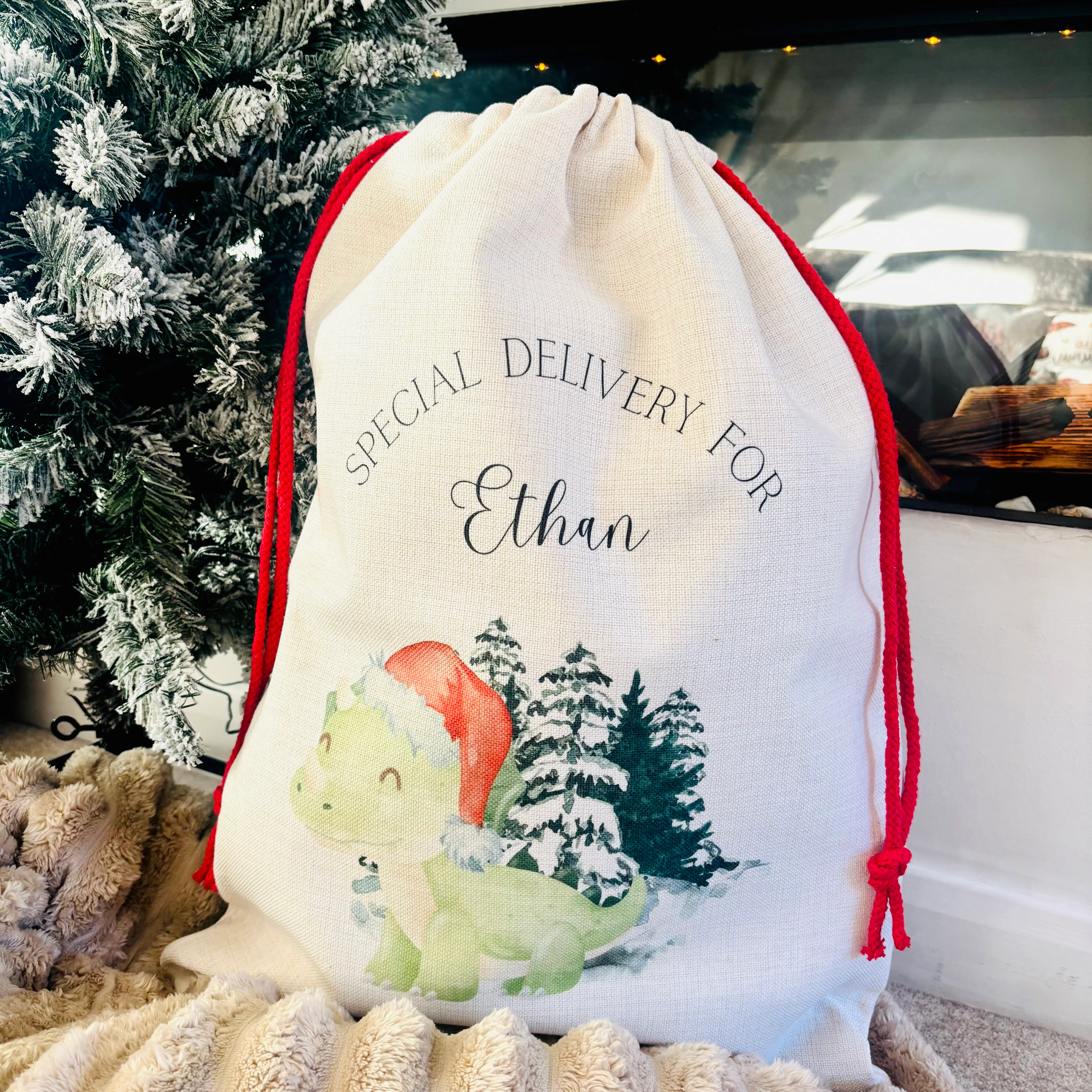 Dinosaur Santa Sack - Image 2