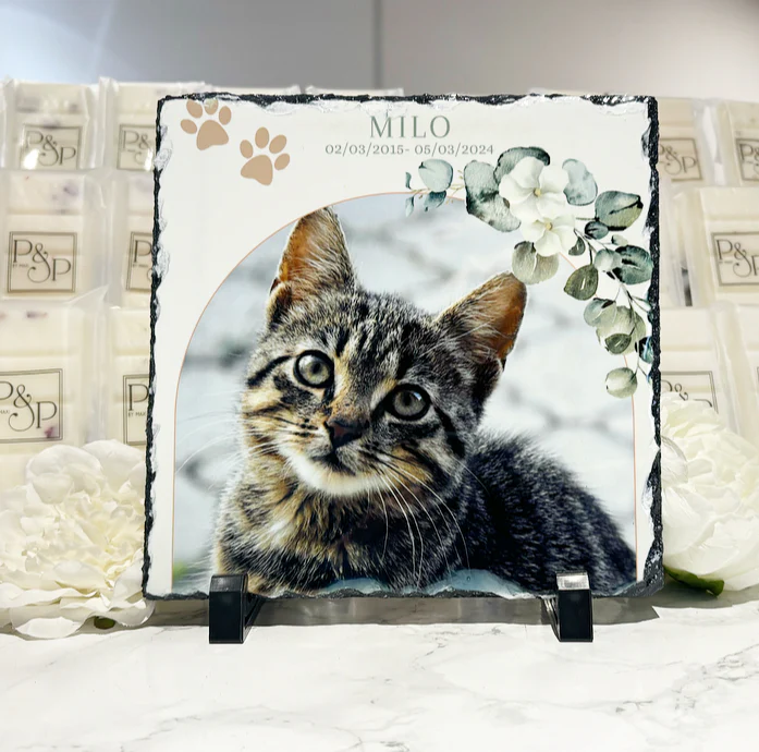 Forever in our hearts Cat/Dog Design