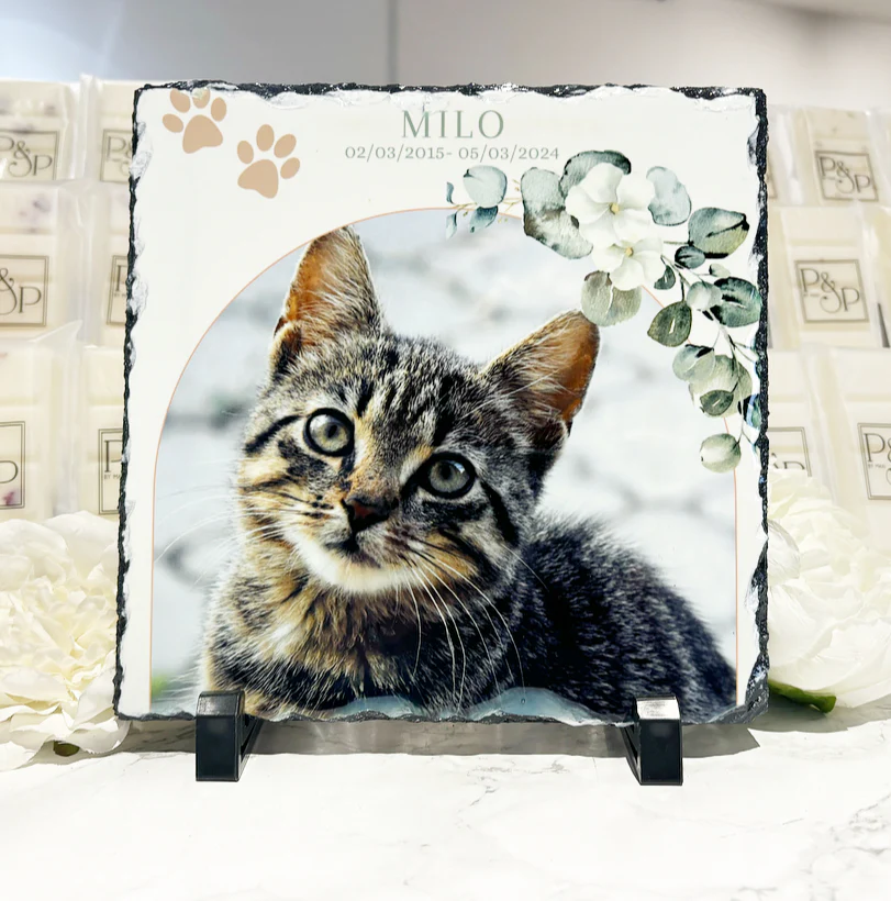 Forever in our hearts Cat/Dog Design - Image 2