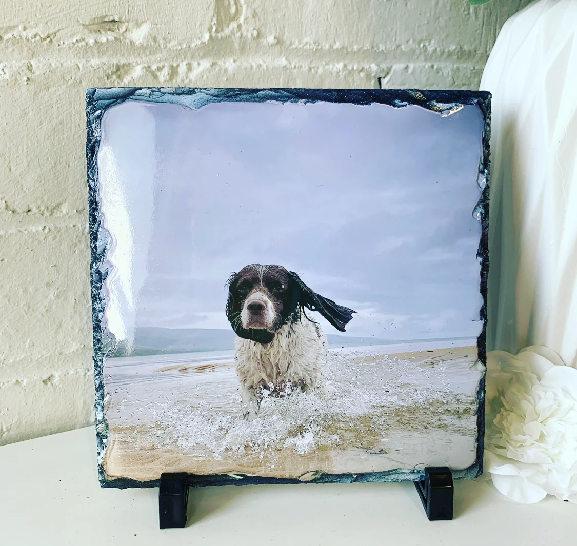 Gloss Pet Photo Slate (19cm) - Image 11