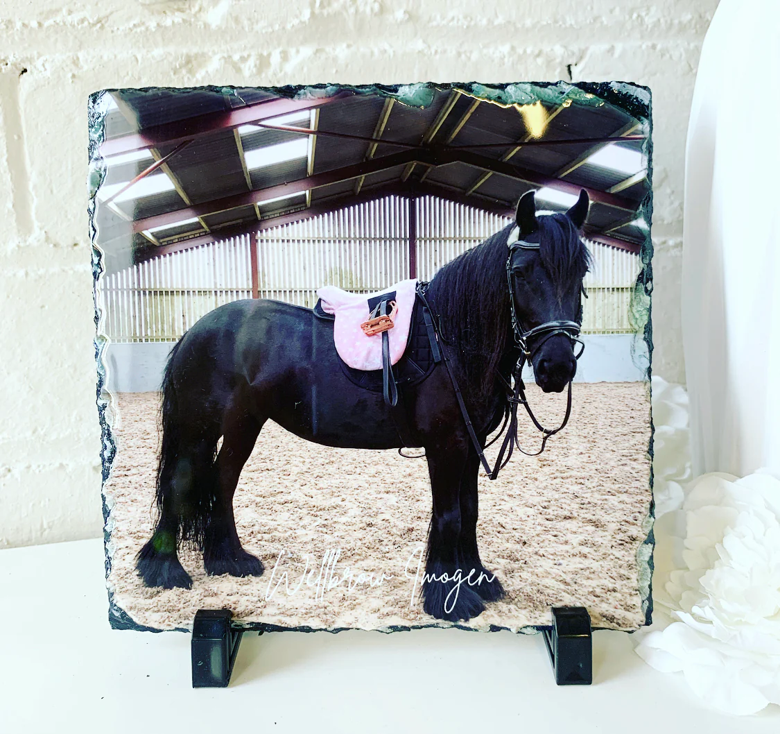 Gloss Pet Photo Slate (19cm) - Image 12