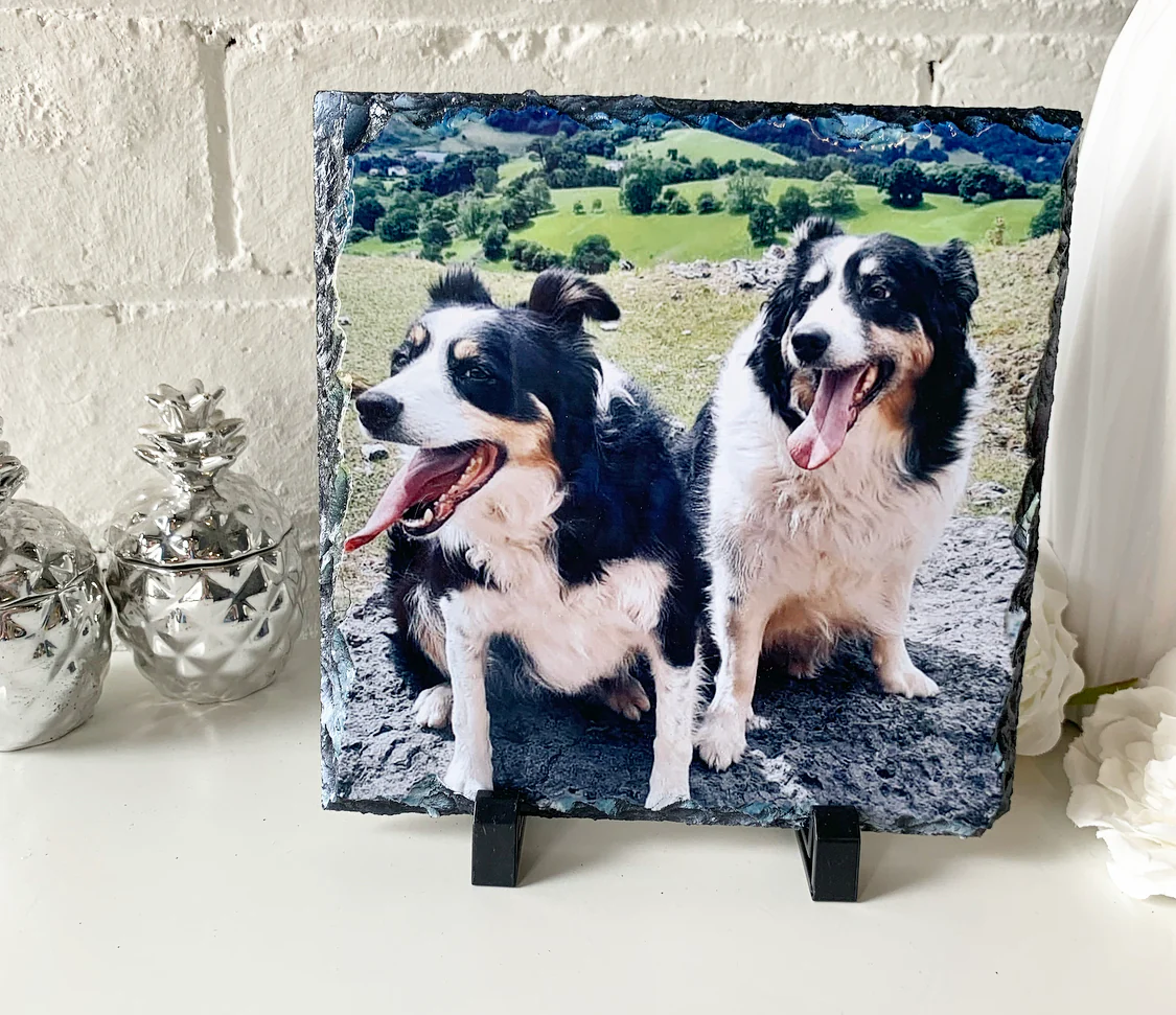 Gloss Pet Photo Slate (19cm) - Image 16