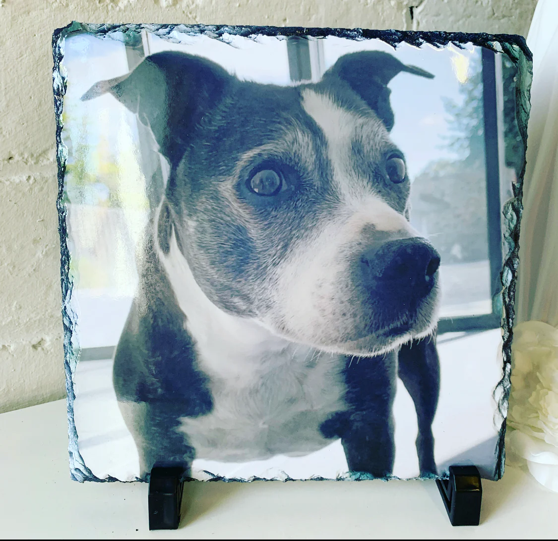 Gloss Pet Photo Slate (19cm) - Image 27