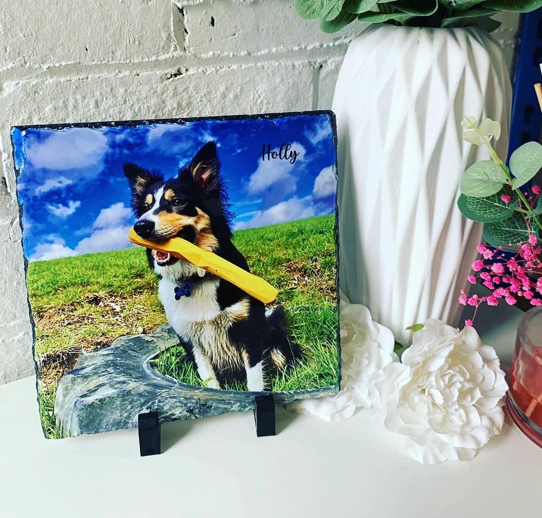 Gloss Pet Photo Slate (19cm) - Image 8