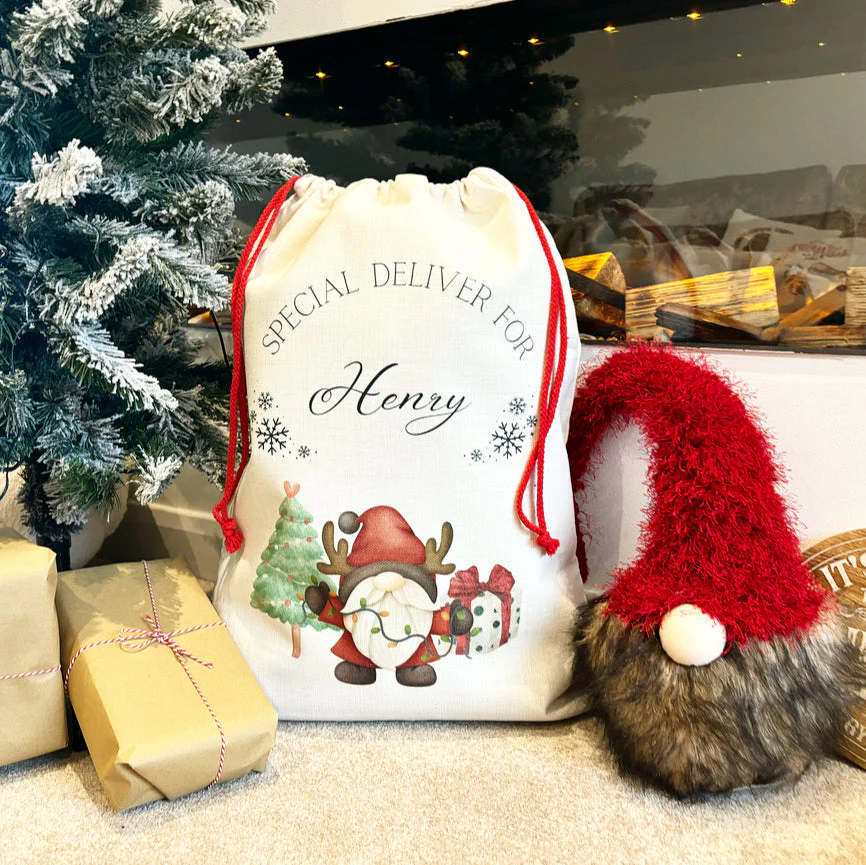 Special Delivery Gonk Santa Sack