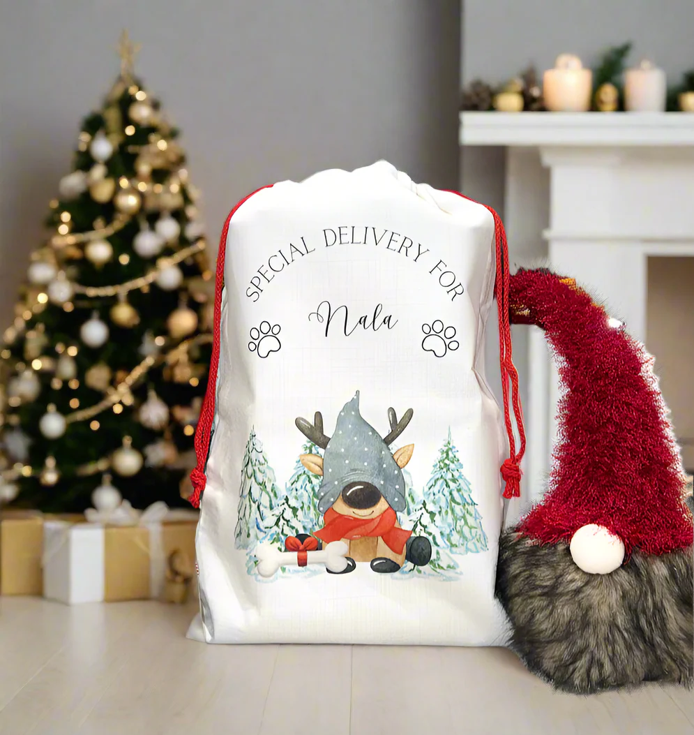 Santa Sack Reindeer Pet - Image 2